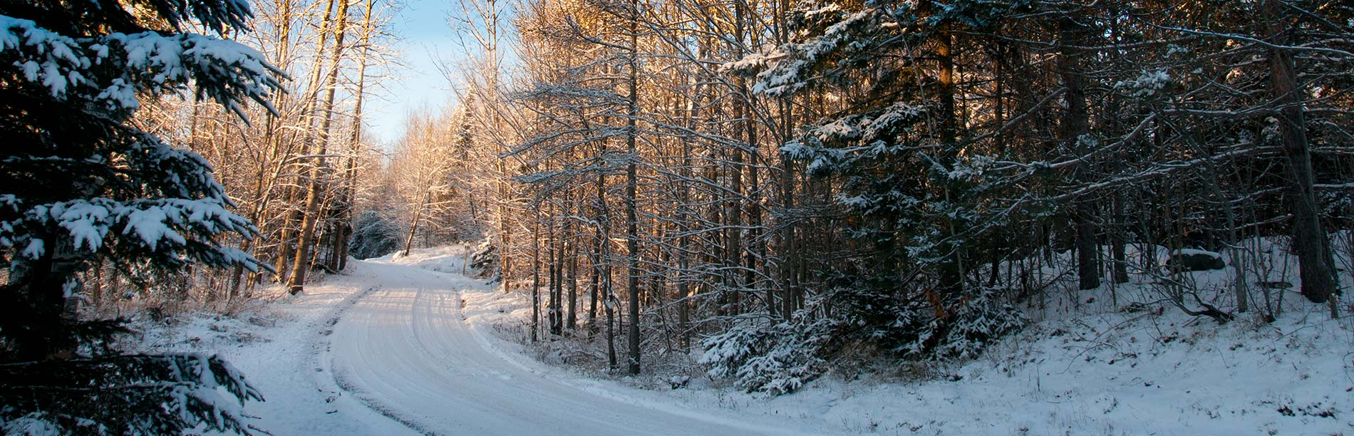 A winding snowcovered backroad. Photo by ARK-Photography.