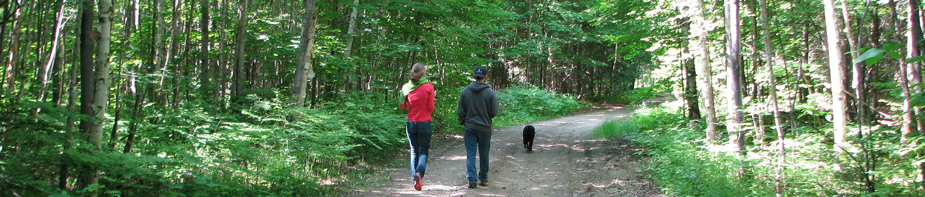 A couple and their dog hike a trail in Highlands East.